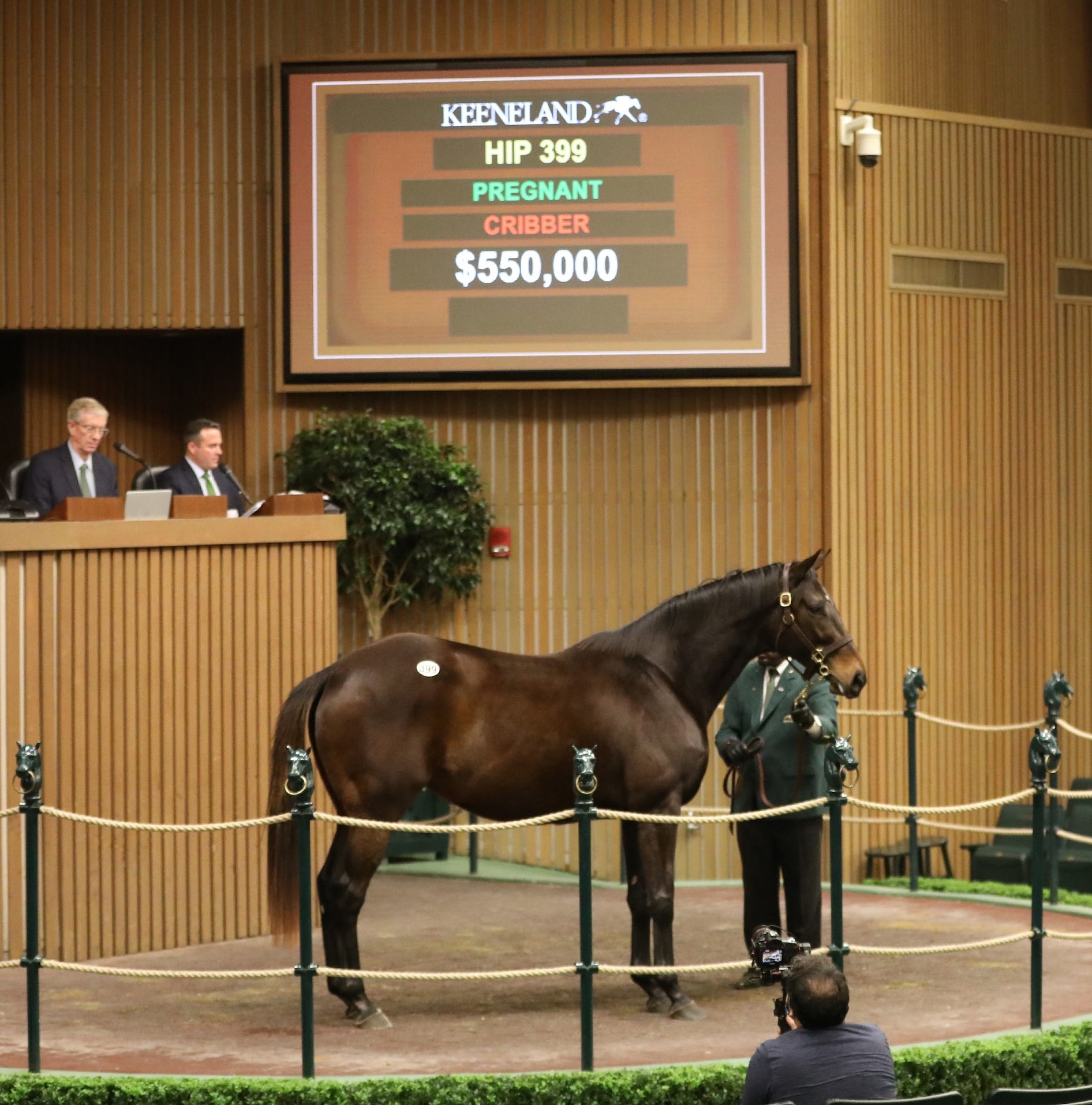 Keeneland January sale Pioneerof the Nile mare Evocative tops opening